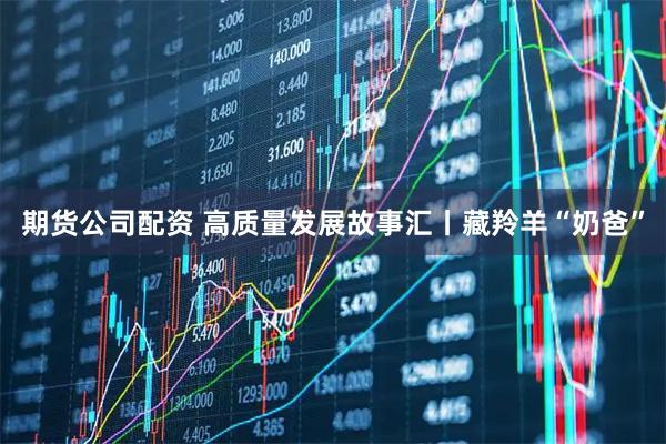 期货公司配资 高质量发展故事汇丨藏羚羊“奶爸”