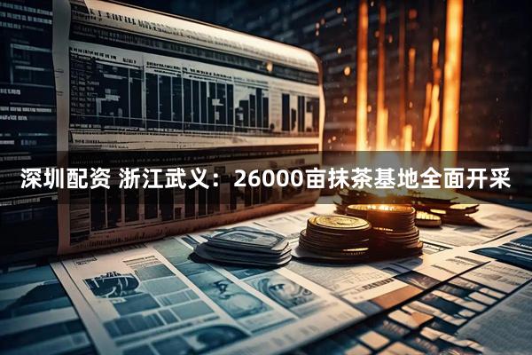 深圳配资 浙江武义：26000亩抹茶基地全面开采